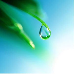 dew-drop-leaf Air Quality Humidifiers