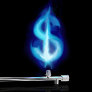 Natural Gas Conversion